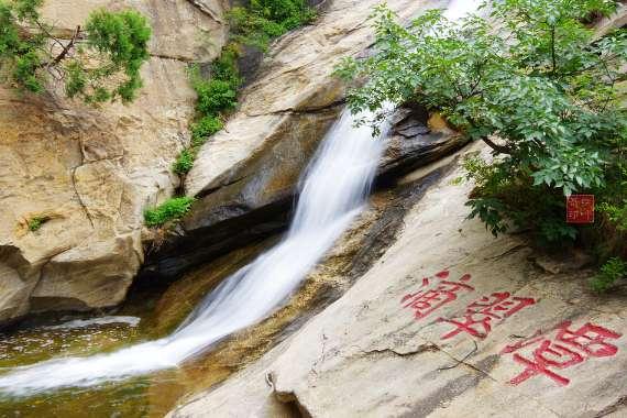 呆萌动物对对碰